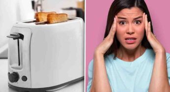 Tostapane, hai mai guardato al suo interno? Se lo fai non mangerai mai più un toast in vita tua