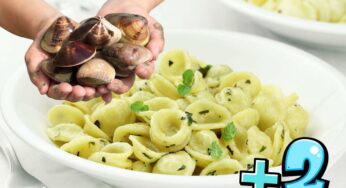 Io con le vongole ci ho fatto le orecchiette: ci ho aggiunto altri 2 ingredienti ed è venuta fuori una specialità