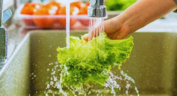 L’insalata ti si rovina sempre? Ecco il motivo, non accadrà più